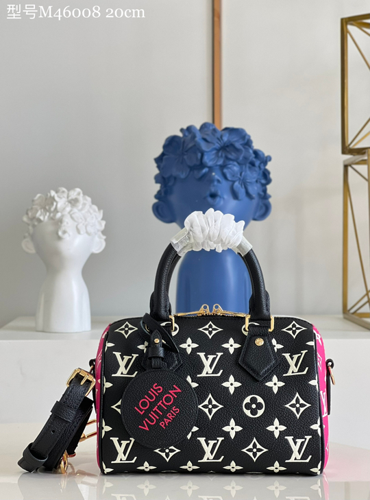 Louis Vuitton Speedy 20