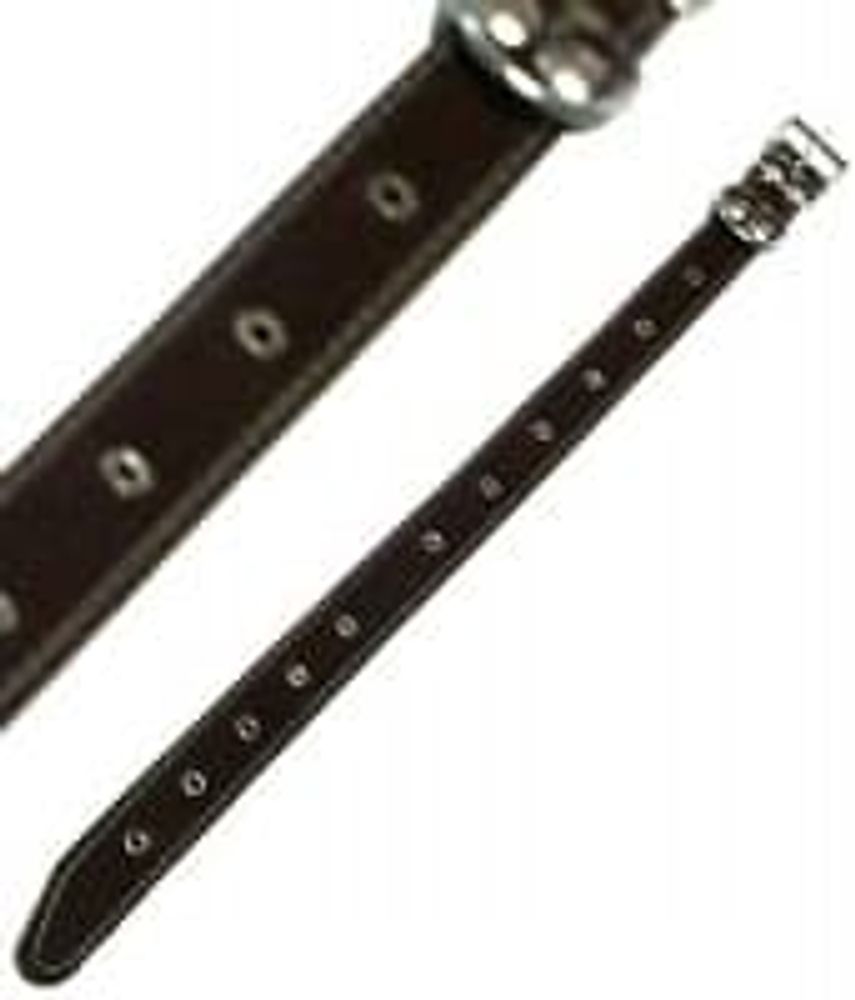 Ошейник шир.36мм с подкладом и блочкой (067) длина 47-60см