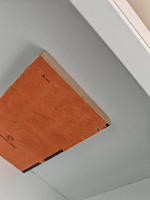 Следы невиданных зверей