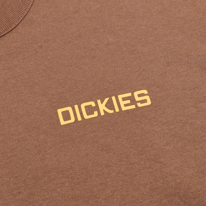 Лонгслив Dickies Payson 2-in-1 Let T-shirt артикул:DK0A88JF0TB1 - купить в магазине Дайс