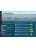 Воблер для рыбалки Bakudan 100F #106