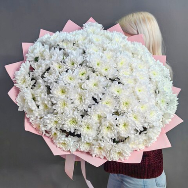 Букет из 21 кустовой хризантемы сорта "BALTICA WHITE"