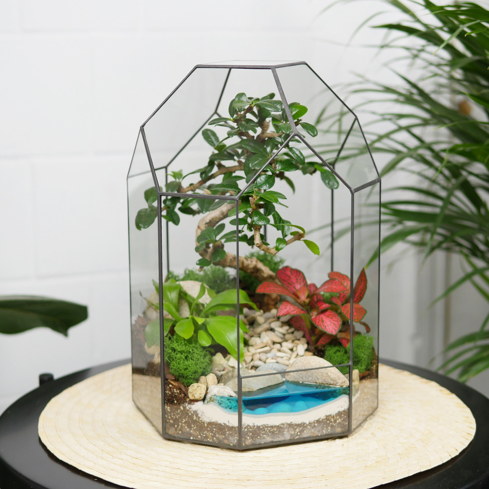 Готовый флорариум бонсай Кармона Бонсариум с озером