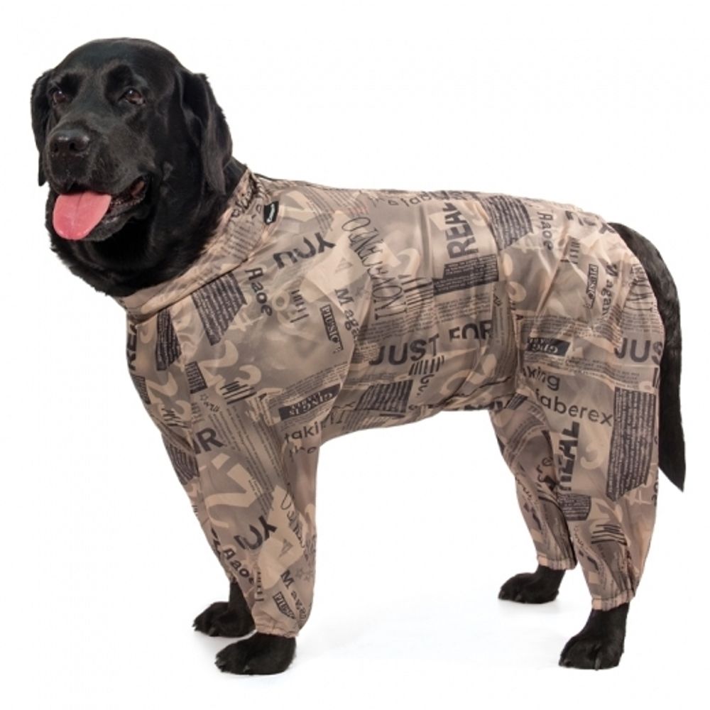 Gamma комбинезон демисезонный &quot;Лабрадор&quot;, 58 см