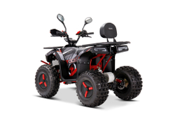 Квадроцикл YACOTA SIRIUS 2000W