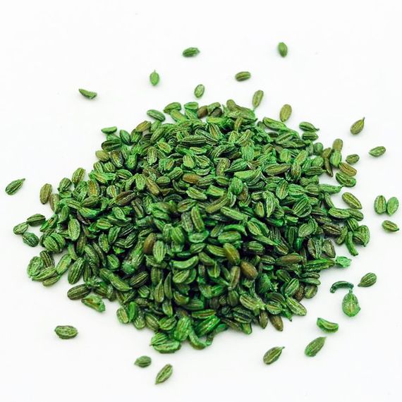 КЮРАСАО F1 семена моркови Bejo отзывы