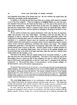 Atlas and Text-Book of Human Anatomy. Volume 1 | Johannes Sobotta