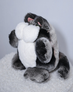 Кот Марсель (черно-шиншилловый) - уникальный окрас