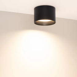 Светильник SP-BISCOTTO-R120-12W Warm3300-MIX (BK, 80 deg, 230V) (Arlight, IP54 Металл, 5 лет) 055010