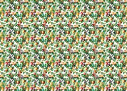 Gloockler Pompoos Provence