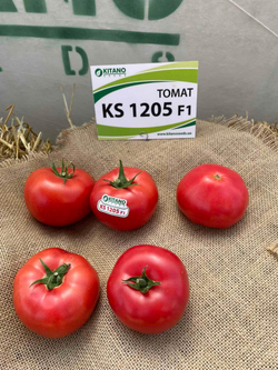 Томат KS 1205 (Финли) F1 (25шт) Витагрин Профи