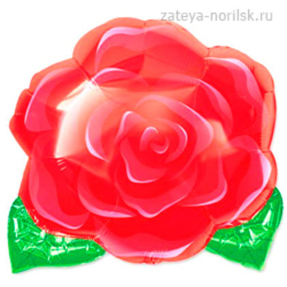 Фигура Роза