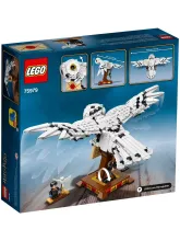 Конструктор Harry Potter 75979 Сова Букля