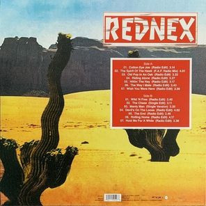Rednex / Greatest Hits & Remixes (LP)