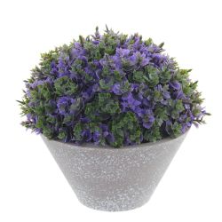 GAEM Цветочная композиция, L13 W13 H13 см, 5в.