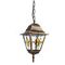 Уличный подвесной светильник Arte Lamp Berlin A1015SO-1BN