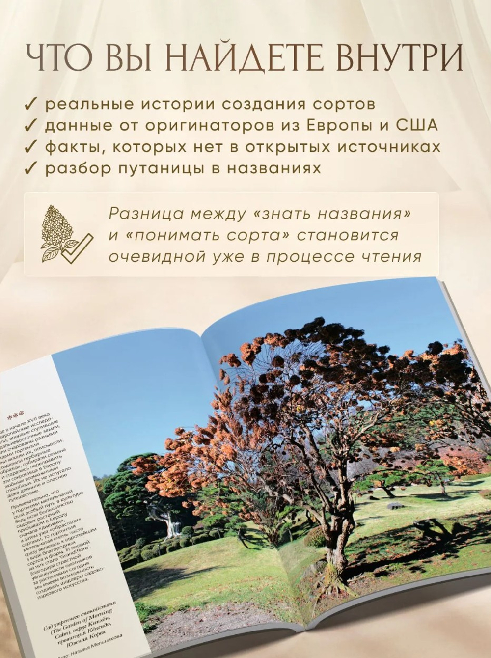 Гортензия. Факты в историях