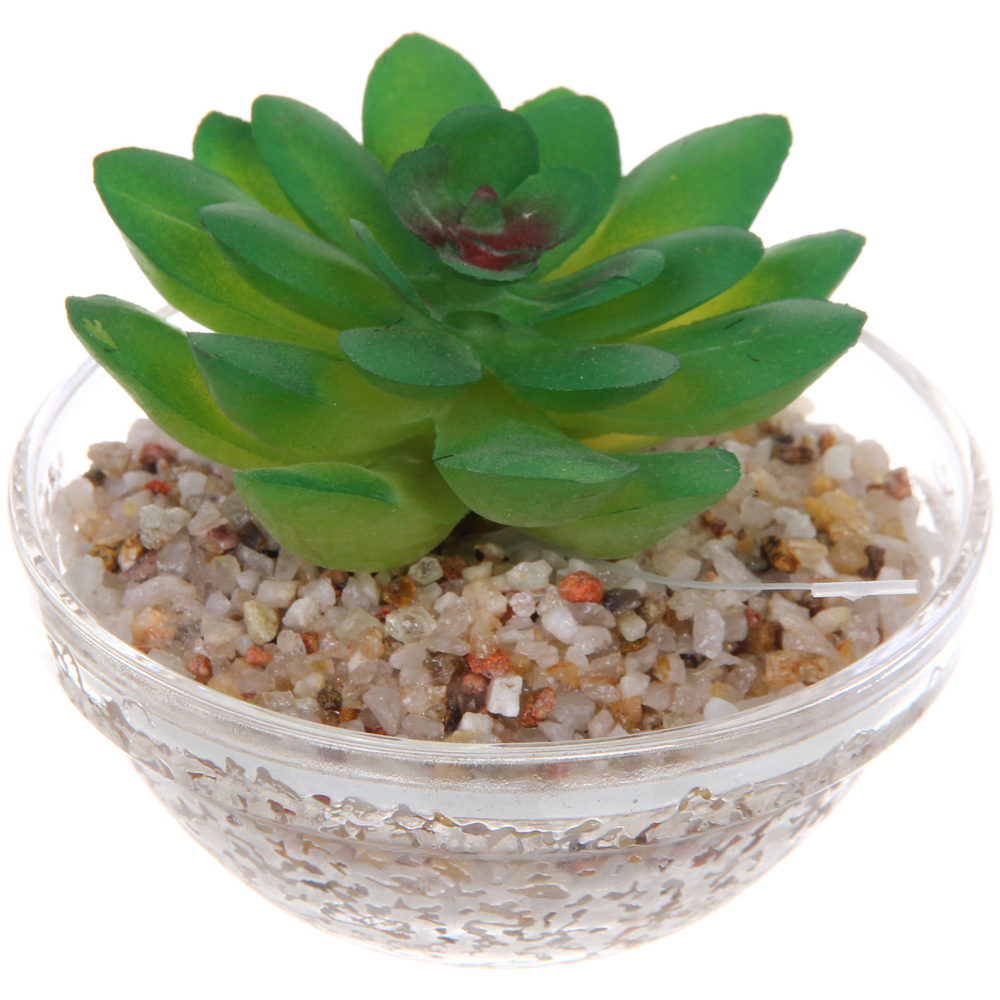 Цветок искусственный «Суккулент» 7*6см в стеклянном горшке
