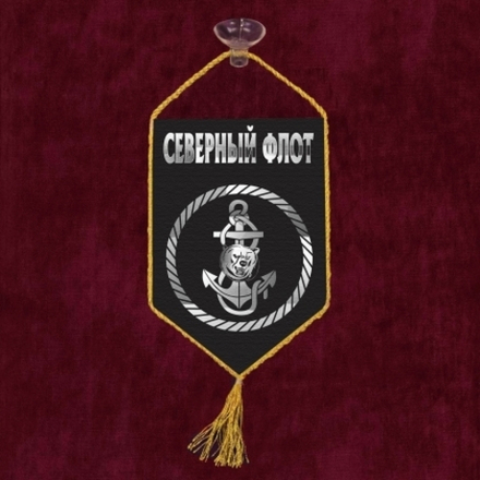 Вымпел автомобильный Морская Пехота 15*22 см