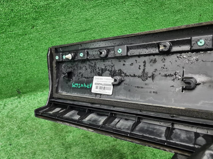 Накладка двери задняя правая Skywell ET5 (21-нв)