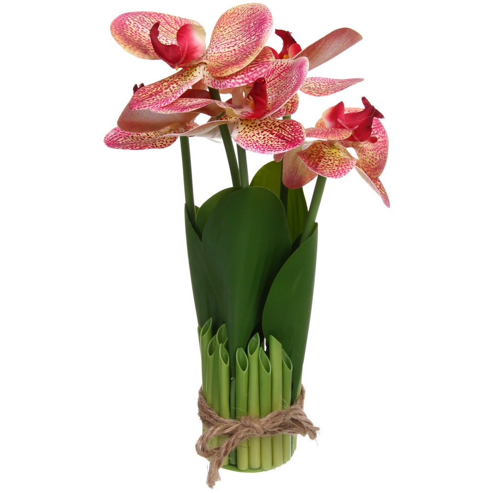 Цветочная композиция «Весенняя рапсодия» 19*27см Орхидея бордовая