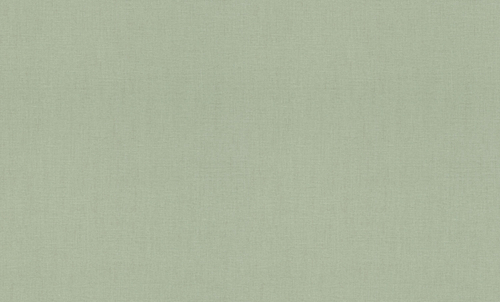 Rash 1.06m*10m 820065 Florentine