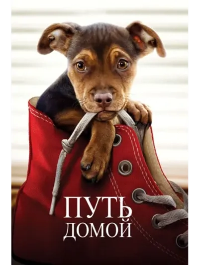 Путь домой (2018) (DVD-R)