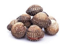 Анадара Японская живая, шт Анадара Японская живая, шт