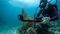 Экшн-камера GoPro HERO 13 Black, Standard