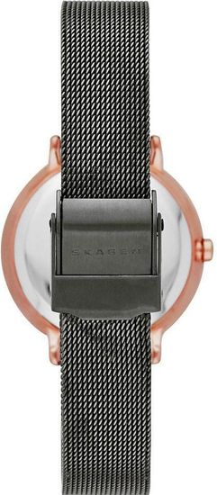 Женские часы Skagen SKW2277