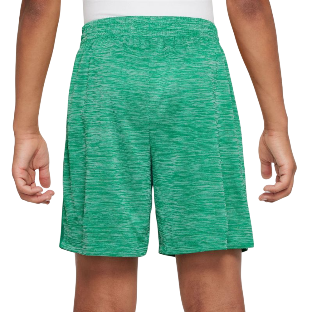 Детские теннисные шорты Nike Kids Dri-FIT Multi Big Training - stadium green/pure/white