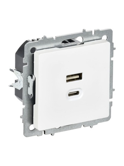 Розетка СП BRITE РЮ11-2-БрАБ USB A+C 45Вт высокоскор. заряд. арктич. бел. IEK BR-U22-045-K91