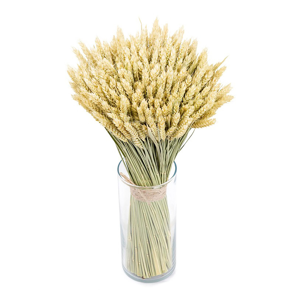 Букет сухоцветов Пшеницы 45х25 см