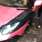 Карбоновые передние крылья для LAMBORGHINI AVENTADOR LP700 Ламборгини