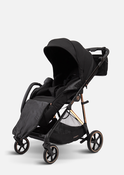 Peppy Коляска прогулочная Amici (Black) рама Gold (LX)