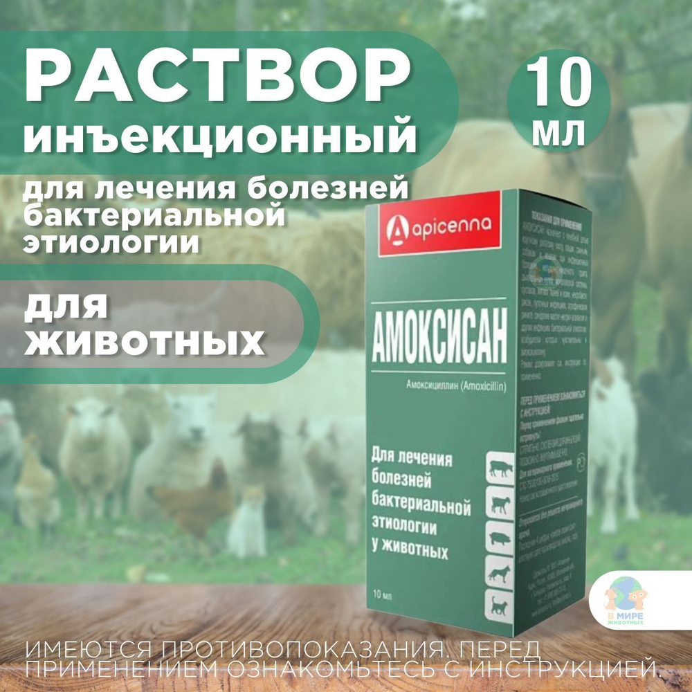 Раствор антибактериальный Амоксисан Apicenna, для инъекций животным, 10 мл. Амоксициллин.