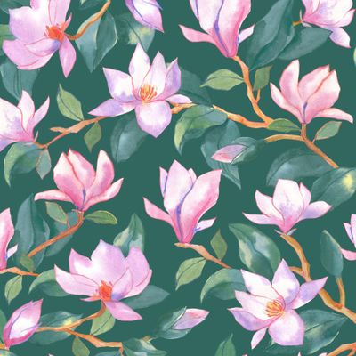 Цветущая Магнолия на темно-зеленом фоне