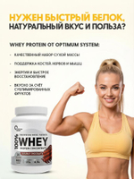 Протеин Optimum System WHEY