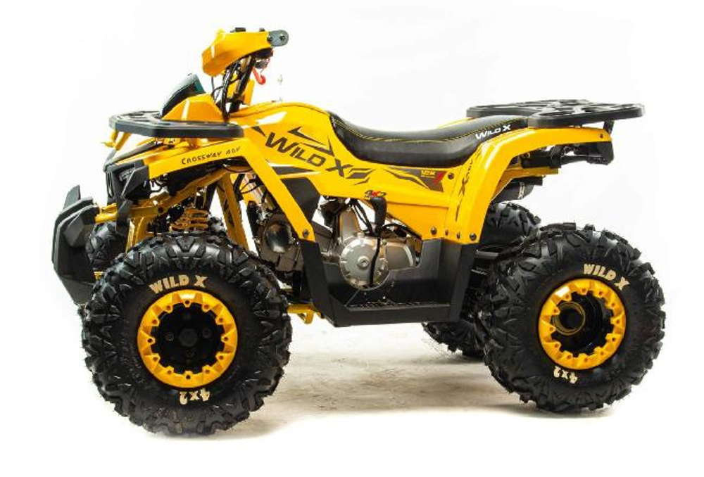 Квадроцикл MOTOLAND (МОТОЛЕНД) 125 WILD X