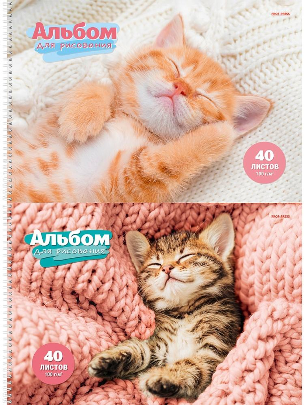 Альбом для рисования А4 40л. "Спящие котята" на гребне, 2 дизайна (Проф-Пресс)