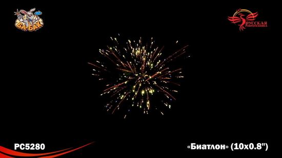 Биатлон (0,8" х 10) РС5280