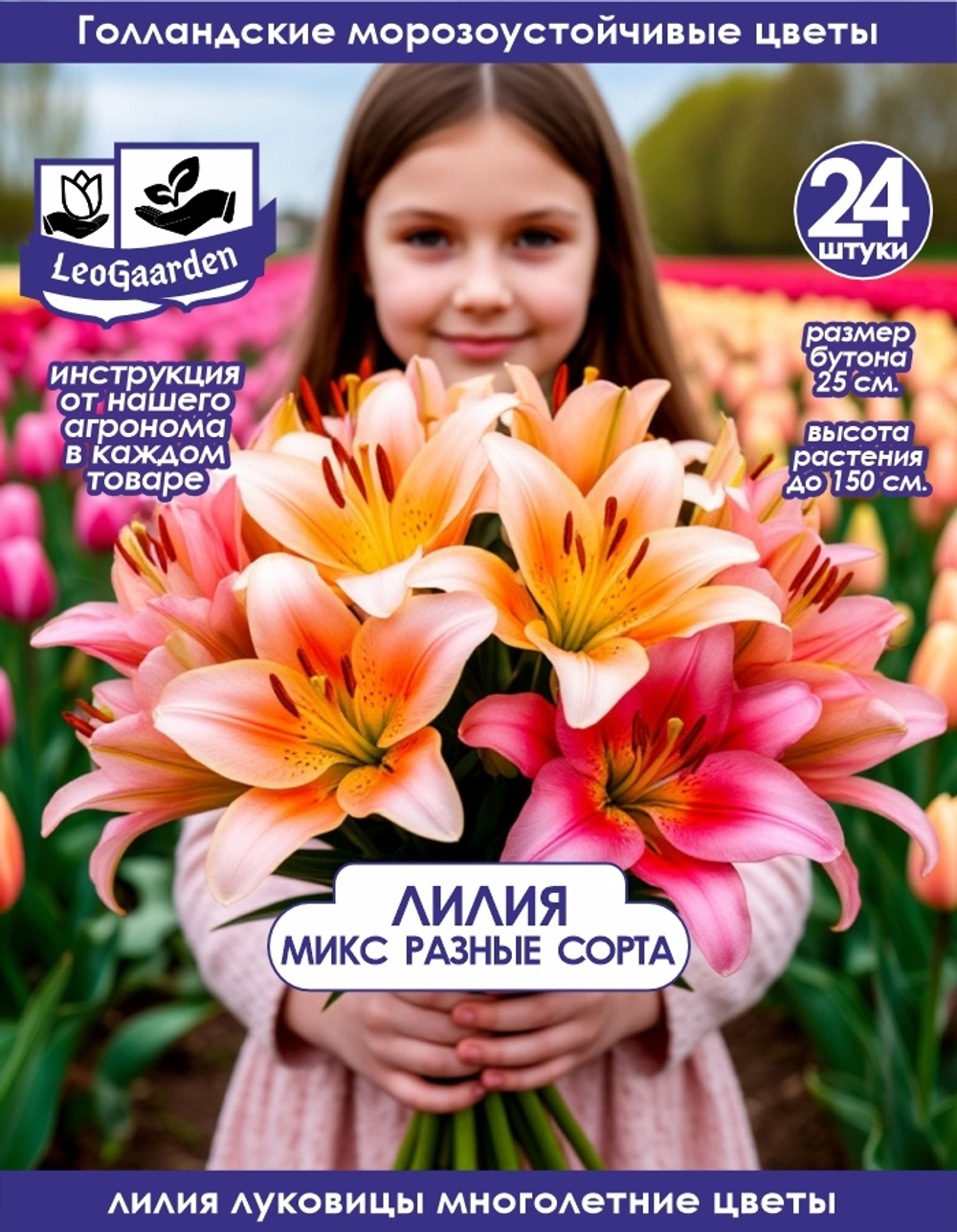 Лилия Луковица, Микс сортов 24шт