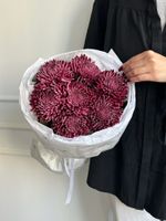 Моно из одноголовой хризантемы сливового оттенка 7 шт
