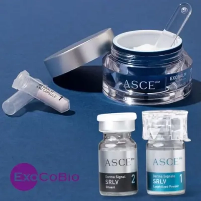 ASCE SRLV + Exobalm ExoCoBio | Сыворотка и пудра+крем с экзосомами