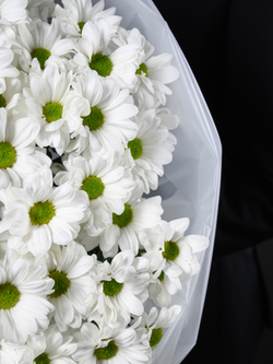 Моно букет из 15 хризантем ромашка