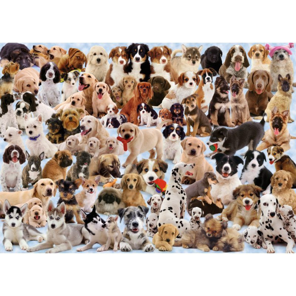 Ravensburger - Пазл Great Dog Family 1000 деталей. 156337