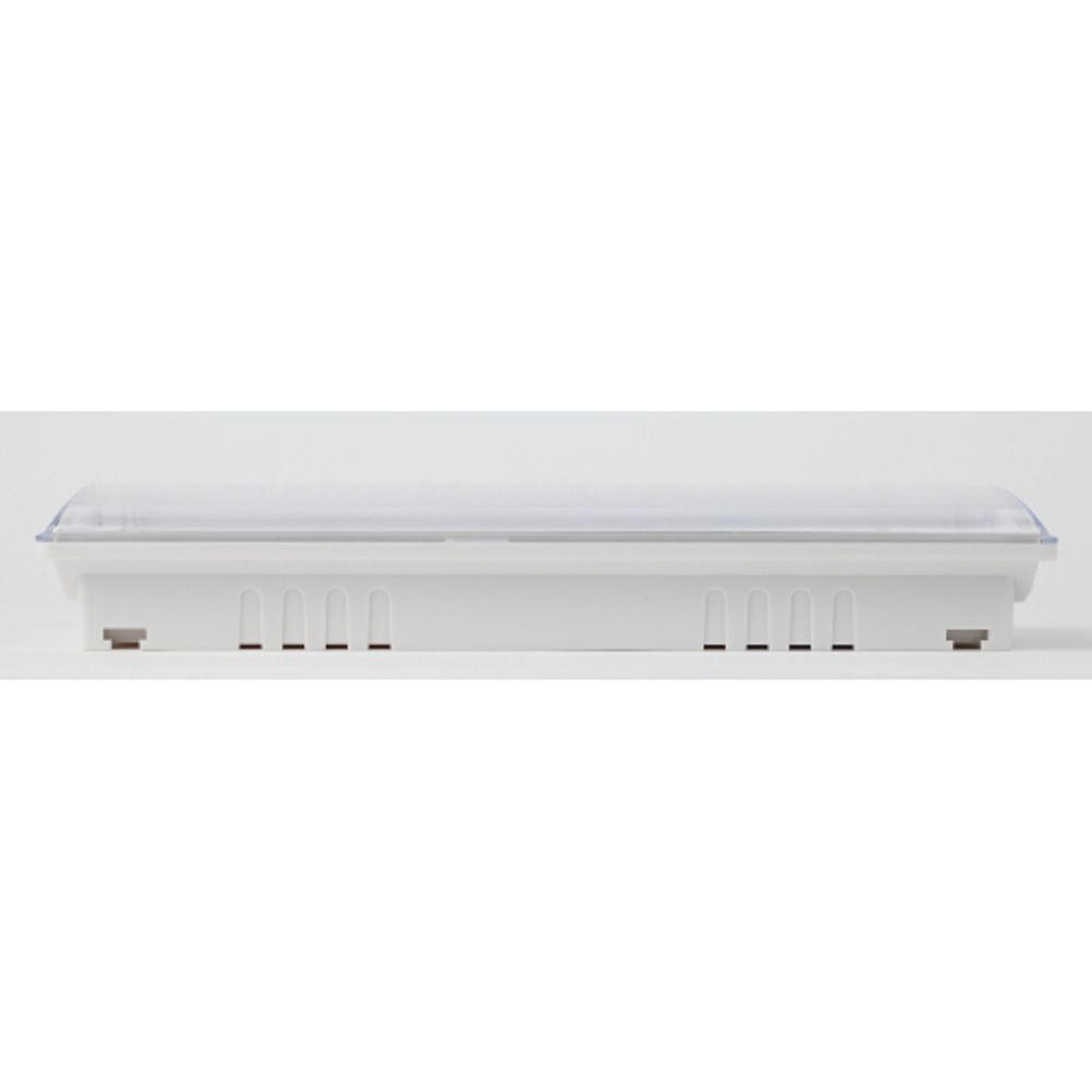 Аварийный светильник светодиодный ЭРА DPA-301-0-65 непостоянный 40LED 3ч IP65 | Светильники аварийные