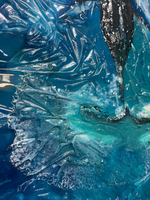 Дыхание океана