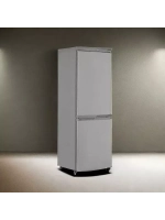 Холодильник двухкамерный R-290 NG