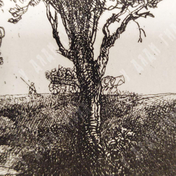 [Гравюра Рейха] Рембрант. Три дерева. Гелиогравюра. До 1927 г.